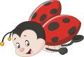 Ladybug_113414486.jpg